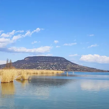 Dom wakacyjny Erdoszelen Haziko Vendeghaz *